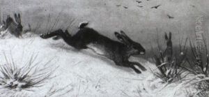 Hasen In Winterlandschaft
