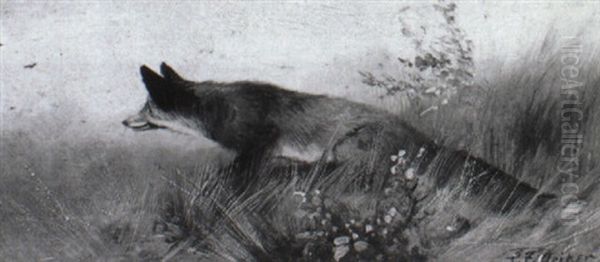 Fuchs Im Hohen Gras - view 1