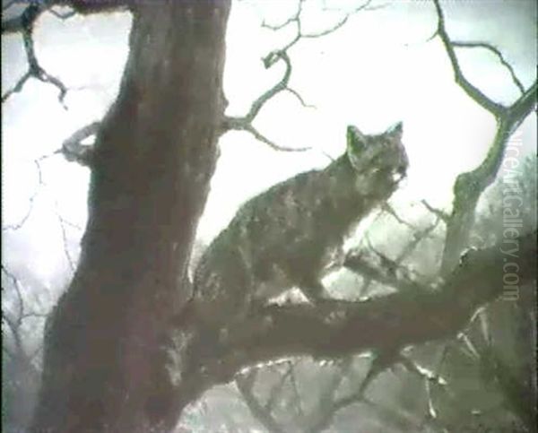 Wildkatze Auf Einem Baumast - view 1