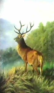 Hirsch