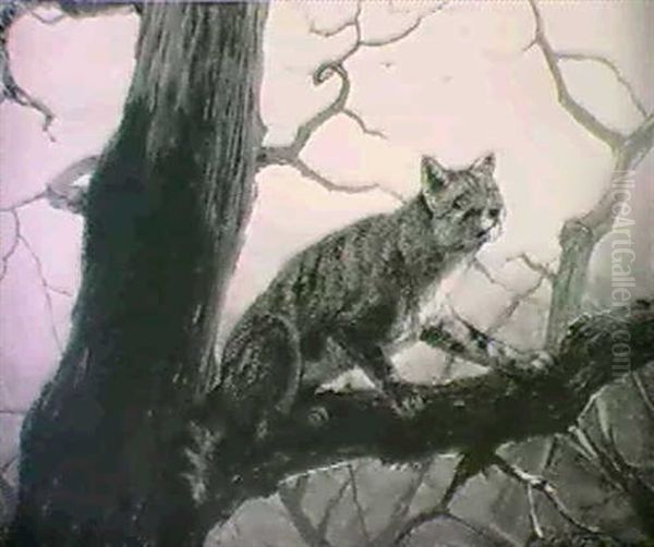 Luchs - view 1