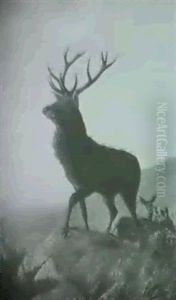 Hirsch Mit Hirschkuhen Auf Felsiger Anhohe Hirsch Mit Hirschkuhen Auf Felsiger Anhohe