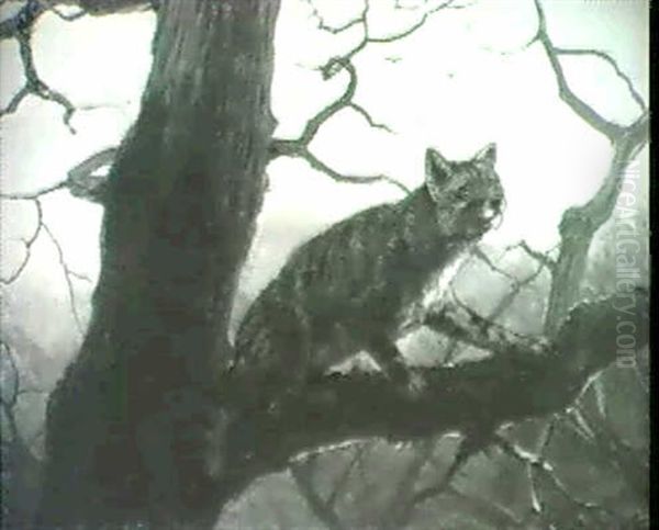 Luchs Auf Der Lauer Auf Einem Baum - view 1