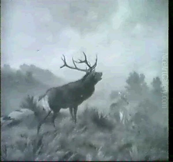 Rohrender Hirsch Mit Drei Rehen In Hugeliger Landschaft - view 1