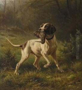 Jagdhund Apportiert Kiebitz