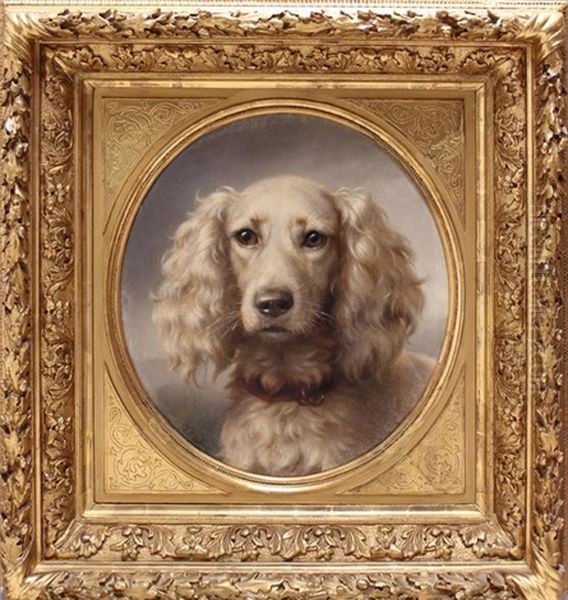 Detailliertes Hundeportrait Eines Weisen Setters - view 1