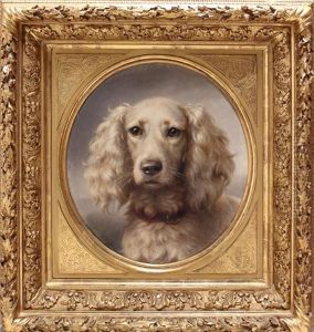 Detailliertes Hundeportrait Eines Weisen Setters