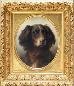 Detailliertes Hundeportrait Eines Setters
