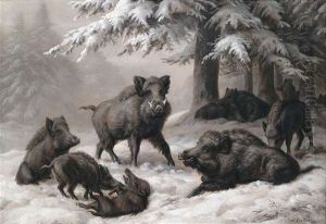 Wildschweinrotte Im Winterlichen Wald