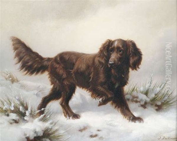 Irischer Setter In Winterlicher Landschaft - view 1