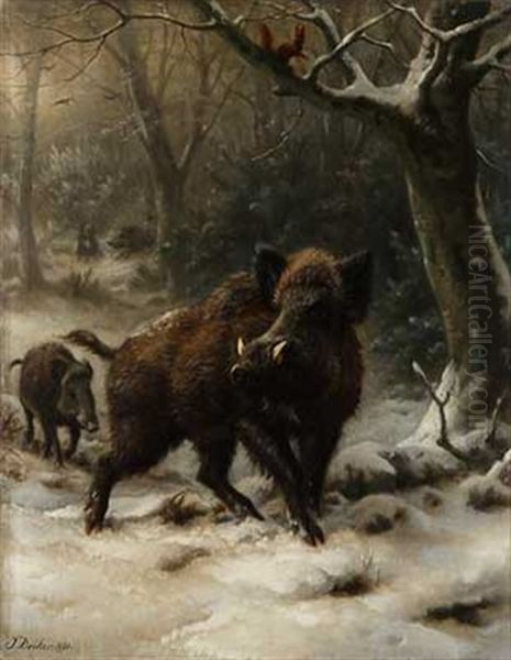 Eichhornchen Beobachtet Rotte Sauen Im Winterwald - view 1
