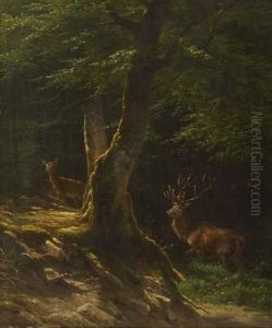 Hirsch Mit Hirschkuhen Im Sommerwald by Johannes Christian Deiker
