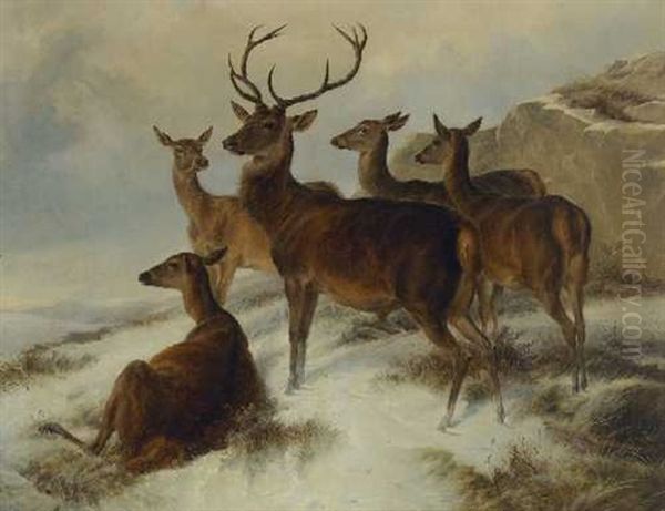 Hirschrudel In Winterlandschaft - view 1
