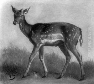 Junger Damhirsch by Johannes Christian Deiker