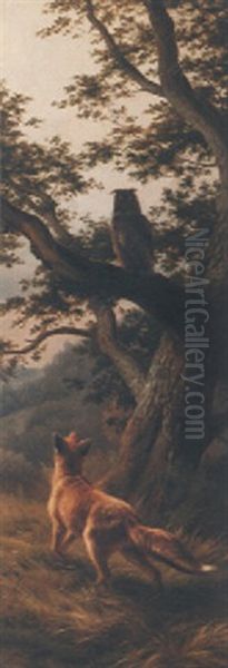 Fuchs Und Eule - view 1