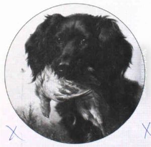 Retriever With Dead Game by Johannes Christian Deiker