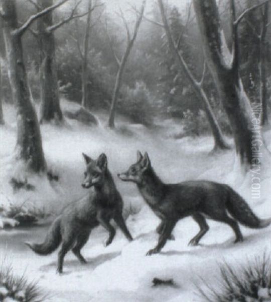 Zwei Spielende F_chse Im Verschneiten Winterwald - view 1