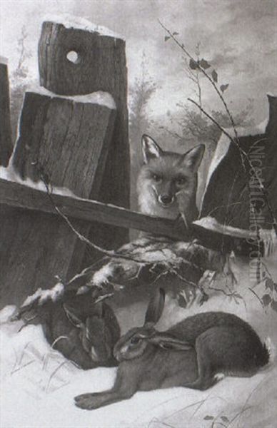 Fuchs Auf Der Lauer - view 1