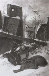 Fuchs Auf Der Lauer Fuchs Auf Der Lauer