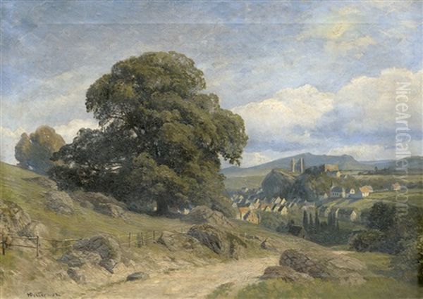 An Der Saegemuhle: Sommerliche Landschaft Mit Blick Auf Ein Dorf Und Burgruine - view 1