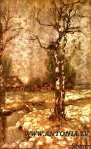 The Birch Tree In Winter