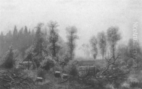 Waldstuck Mit Reisigsammlerin - view 1