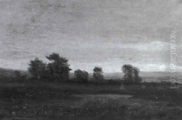 Soir De Juin - Pairie Environs De Valenciennes - view 1
