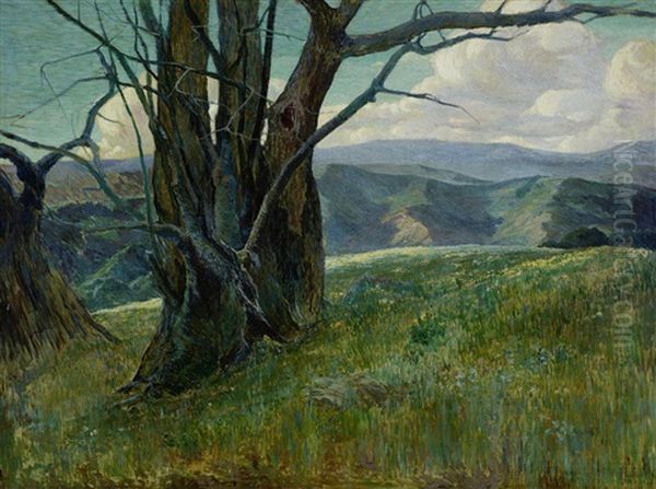 Trees On A Ridge Full Of Wildflowers - view 1