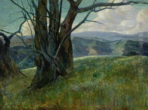 Trees On A Ridge Full Of Wildflowers