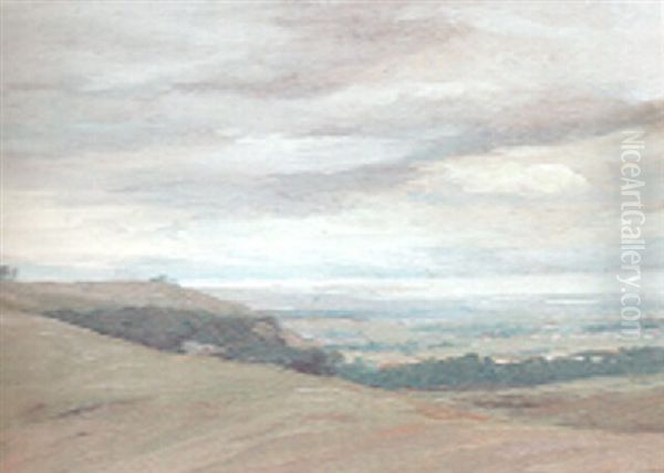 View To The Bay - view 1