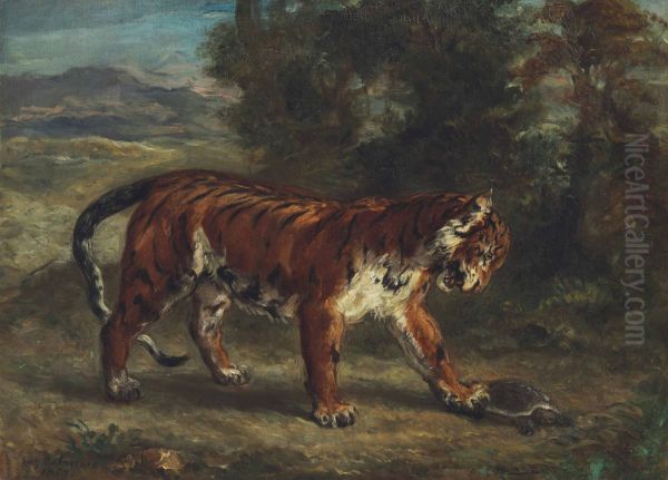 Tigre Jouant Avec Une Tortue - view 1