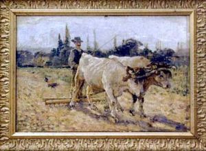 Paysan Derriere Ses Boeufs En Train De Labourer