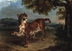 Tigre Et Serpent