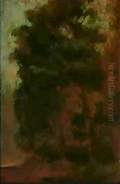 Etude D'arbres - view 1