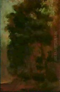 Etude D'arbres