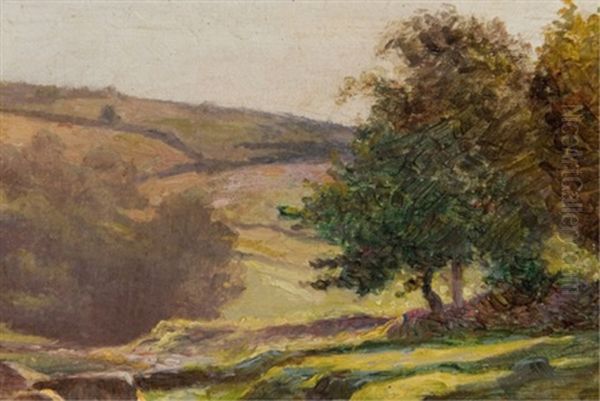 Scenic Landscape With Creek - view 1