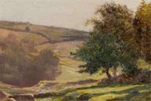 Scenic Landscape With Creek