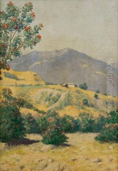 Collines Fleuries - view 1