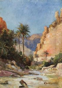 Oasis Dans Le Desert