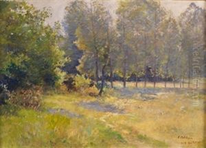 Paisaje Arbolado