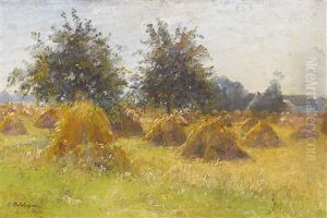Sommerfeld Mit Heuschober