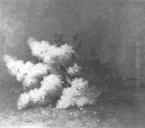 Lilacs