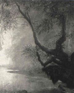 Knorriger Baum Vor Dunsterfullter Uferlandschaft thumbnail