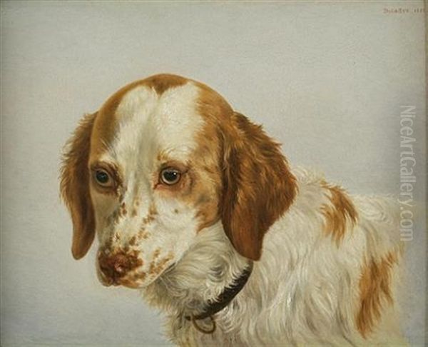 Spaniel Head Study - view 1