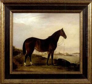 Brood Mare On The Island Of Grosse Isle
