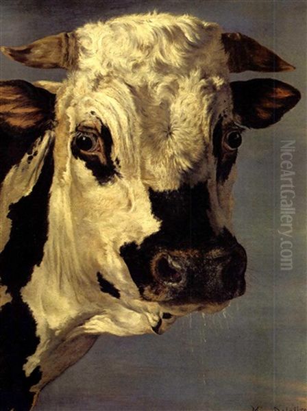 Head Of A Bull (after Paulus Potter) - view 1