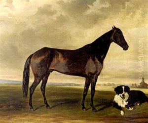 "portsmouth" With A Dog "portsmouth" With A Dog