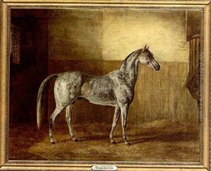 "jerry's Spotted Arabian" by Henri Delattre