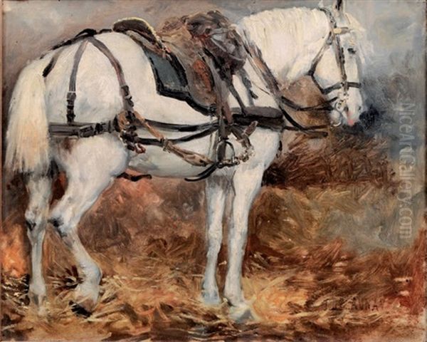Cheval A L'ecurie - view 1