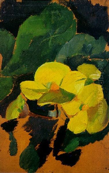 Begonias Jaune - view 1